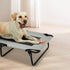 Pawz Pet Elevated Bed Dog Raised Trampoline Foldable Large L Size-1937319823684014087