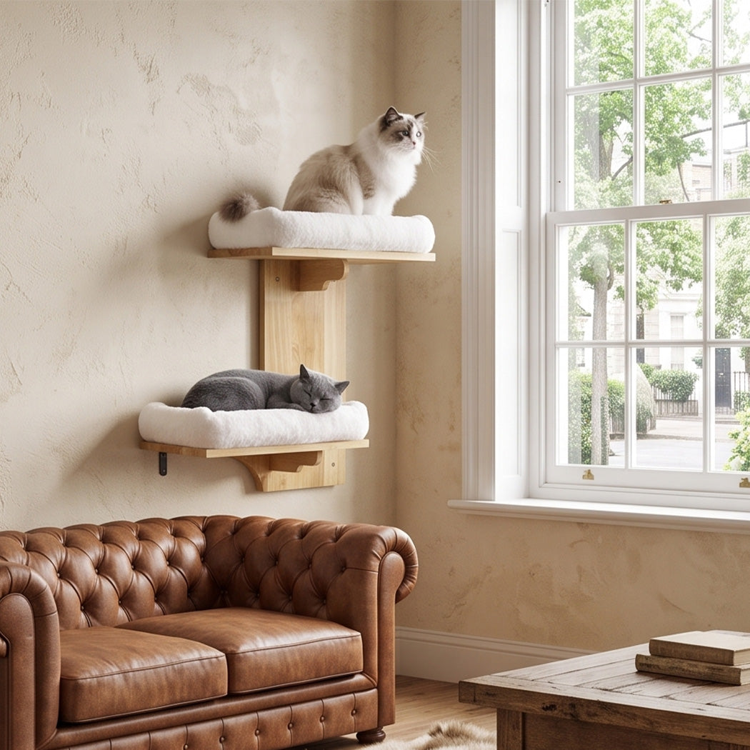 Pawz Cat Wall Shelves 2 Steps Wide Perch Soft Beds for Large Cats Climbing White-2100034992867512327