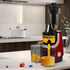 Spector Cold Press Slow Juicer Whole Red-2018816891249889287