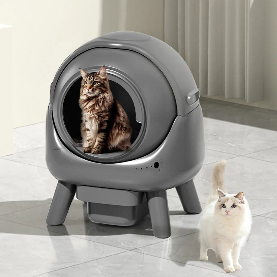 PaWz Smart Self Cleaning Cat Litter Box APP Control-2018816917917274119