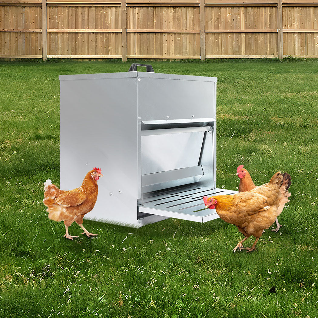 PaWz 10KG Auto Chicken Feeder Dispenser Galvanised Steel-2006732904771751943