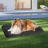 Pawz L Size Orthopedic Dog Bed with Sherpa Plush Removable Cover in Grey-1937319822773850119
