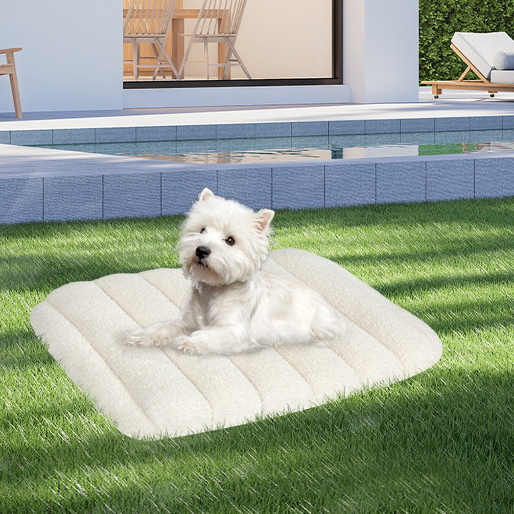 Pawz M Size Orthopedic Dog Bed with Sherpa Plush Removable Cover in White-1919892816901836807