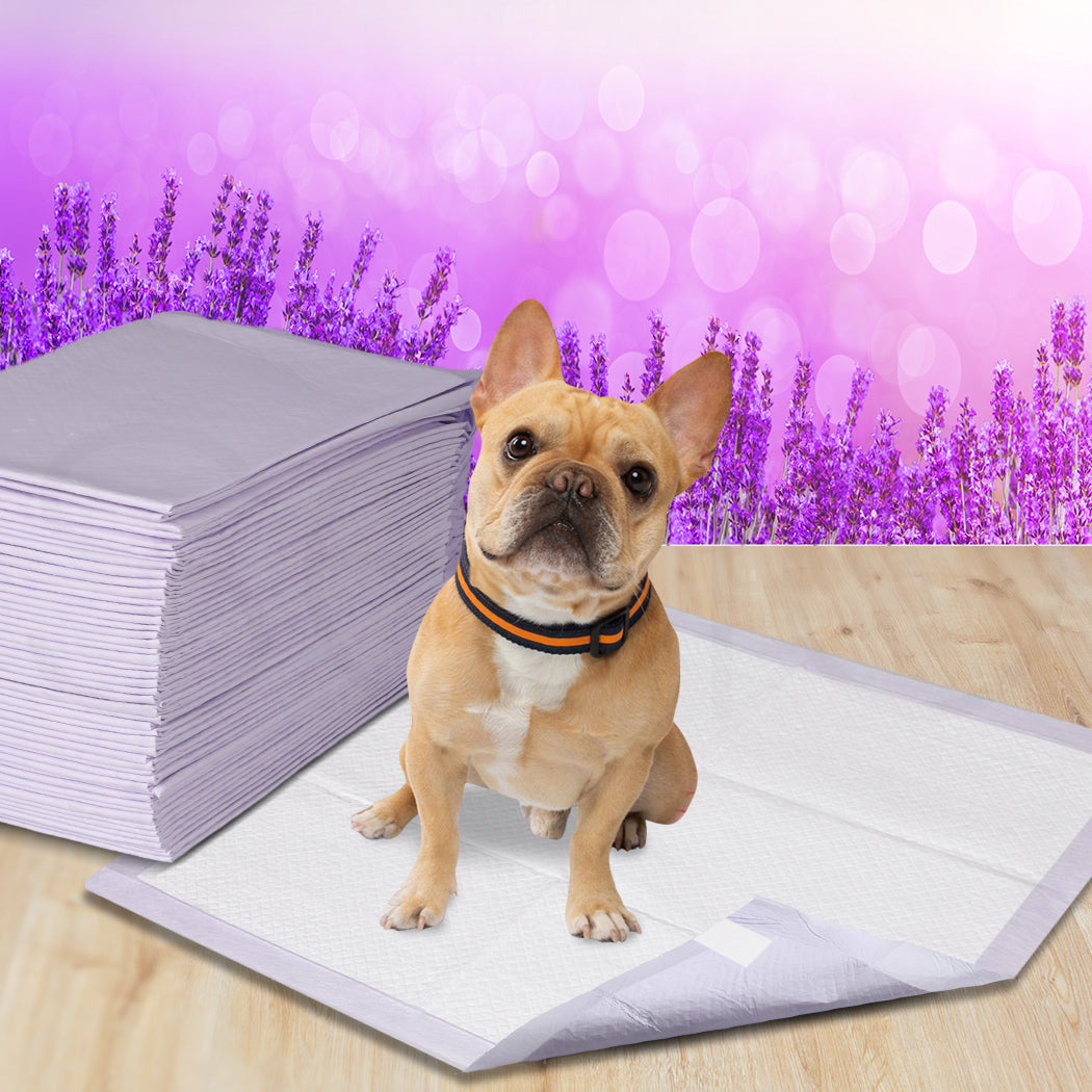 PaWz 100x Pet Dog Toilet Training Pad-2065254323645976583