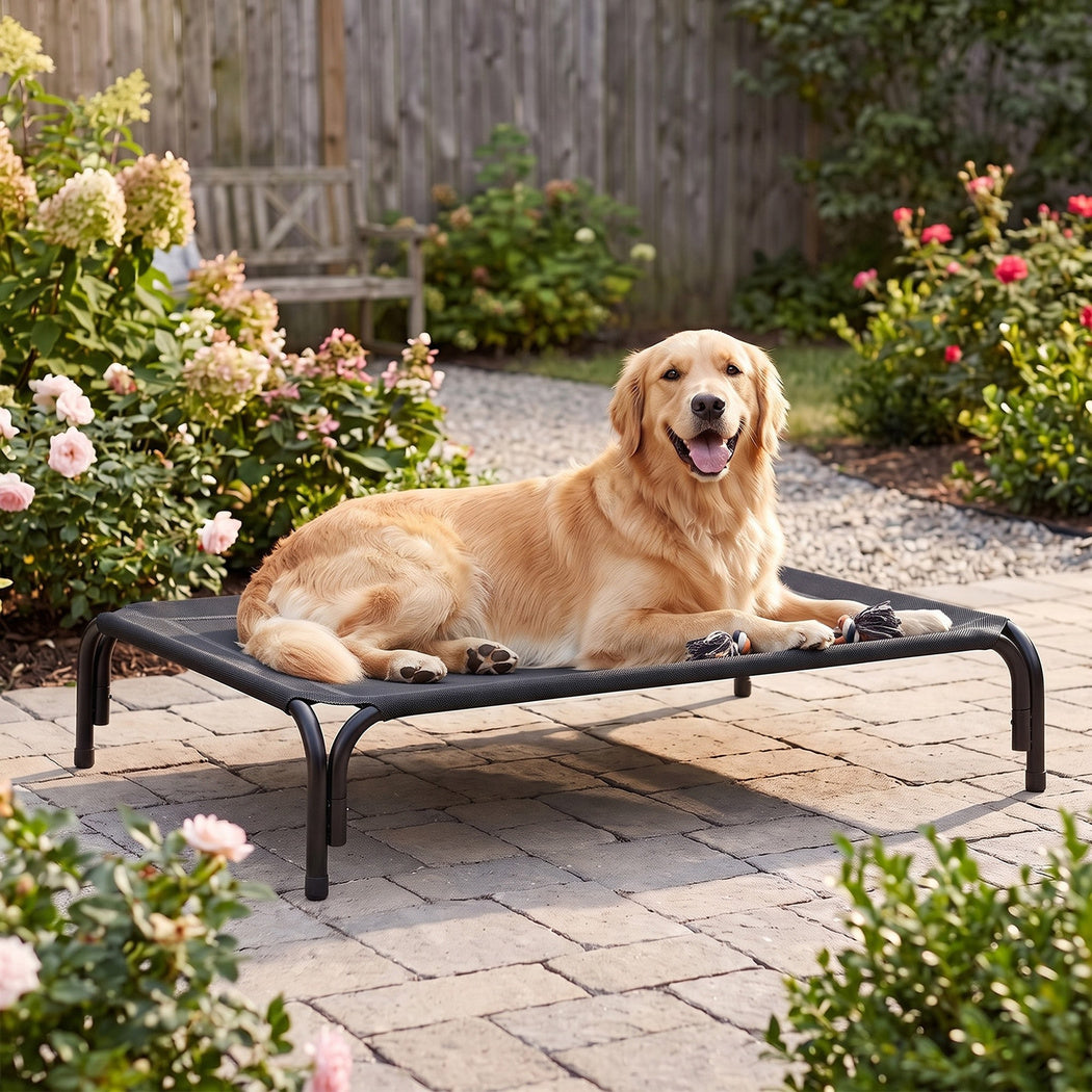 PaWz Raised Dog Bed Elevated Cooling Breathable Mesh for Indoor Outdoor Black-2100034993425354759