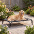 PaWz Raised Dog Bed Elevated Cooling Breathable Mesh for Indoor Outdoor Black-2100034993425354759