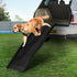 PaWz Dog Ramp Pet Car Suv Travel Stair-2006732965865984007