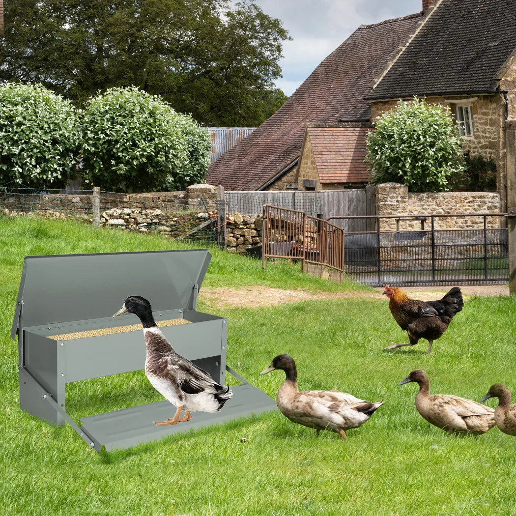 PaWz 10KG Auto Automatic Chicken Feeder-2006733139619221511