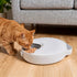 Pawz 4 Meals Automatic Timer Pet Smart Chilled Feeder-2050056797905096711