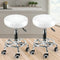 2x Levede Swivel Salon Barstool Hairdressing White-2018816797721104391