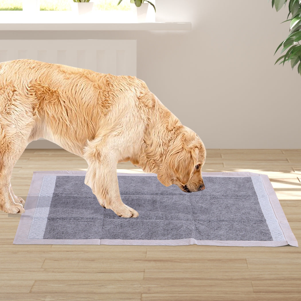 PaWz 400 Pcs 60x60cm Charcoal Pet Puppy-1910112998433886214