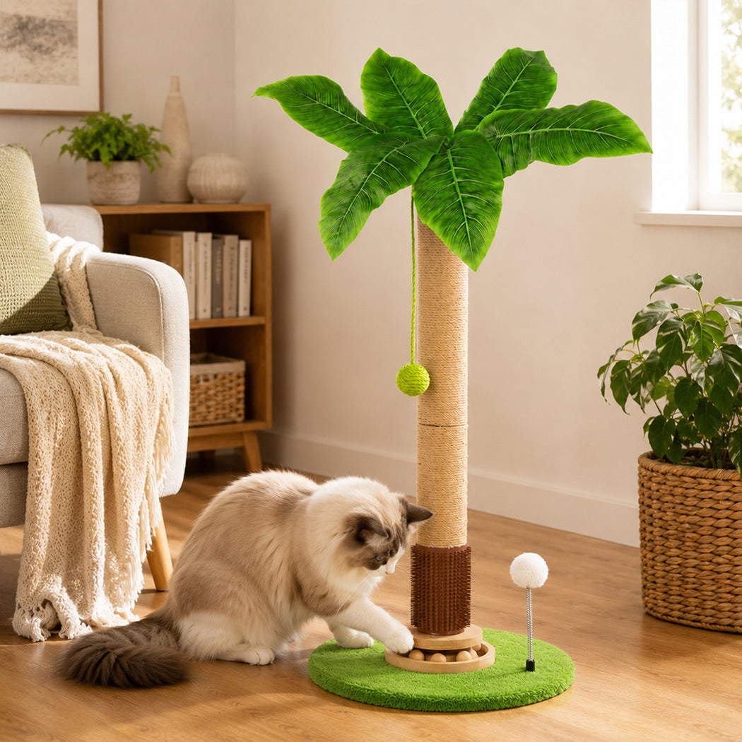 Pawz Cat Scratching Post 77cm Palm Tree Cat Scratcher Balls Sisal Green-2100034990111854599