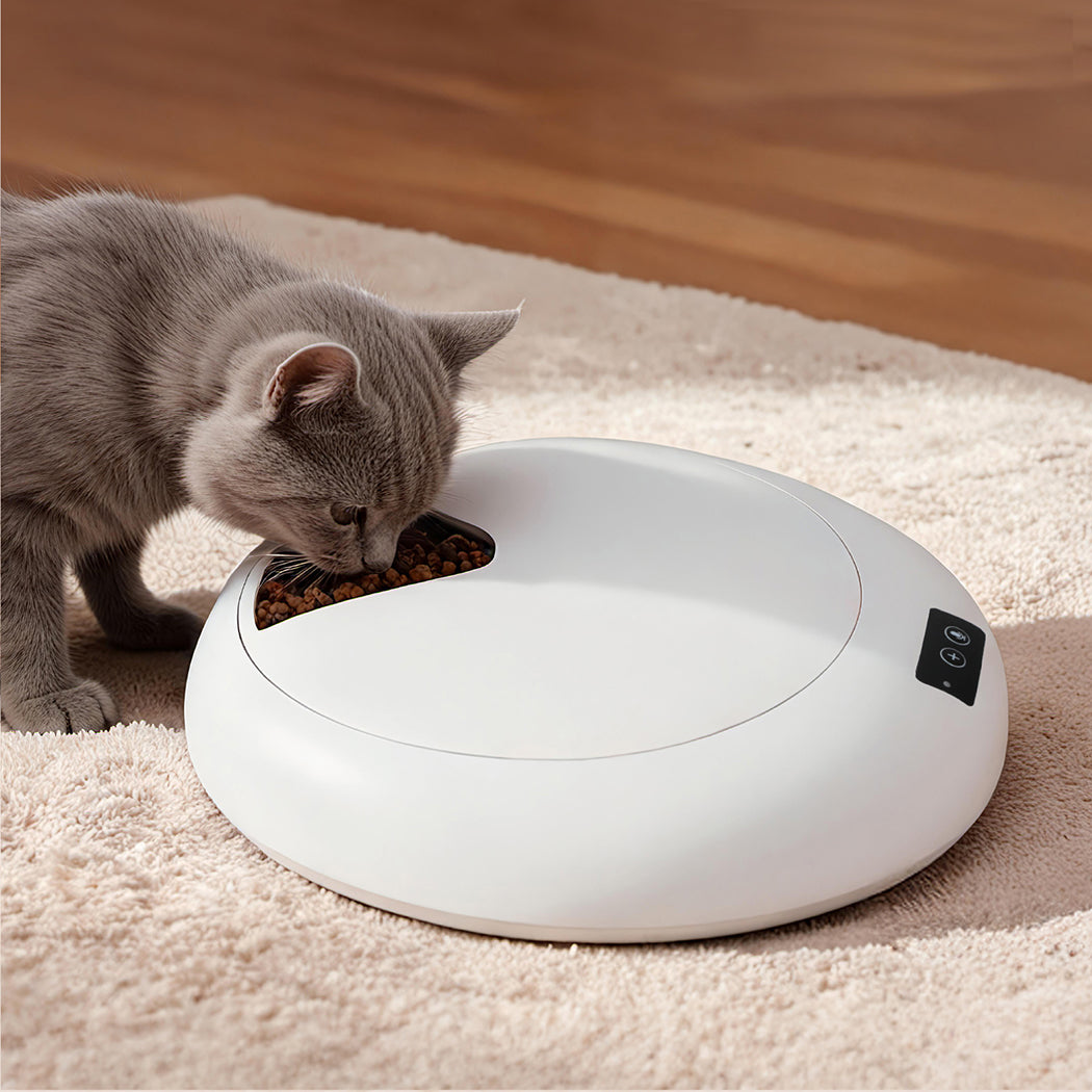 Pawz 6 Meals Automatic Timer Pet Smart Chilled Feeder-2050056798303555591