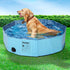 PaWz Folding Swimming Pool Dog Cat Washing M Medium-2006732969707966471