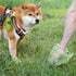 PaWz 100% Compostable Biobased Dog Poop-2065254322207330311
