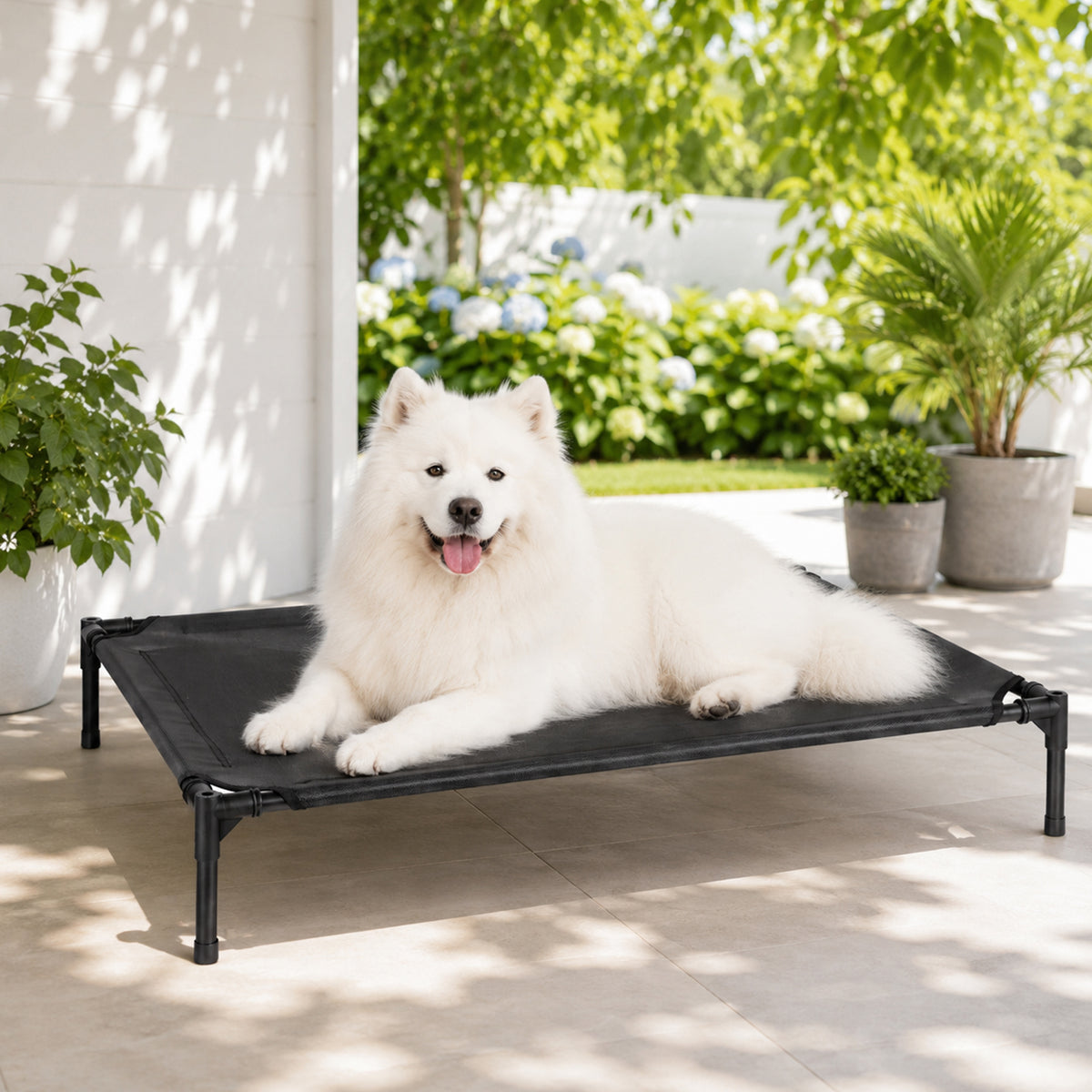 Pawz Elevated Dog Bed Large Breathable Three Sided Bolster for Outdoor Black-2100034988761288711