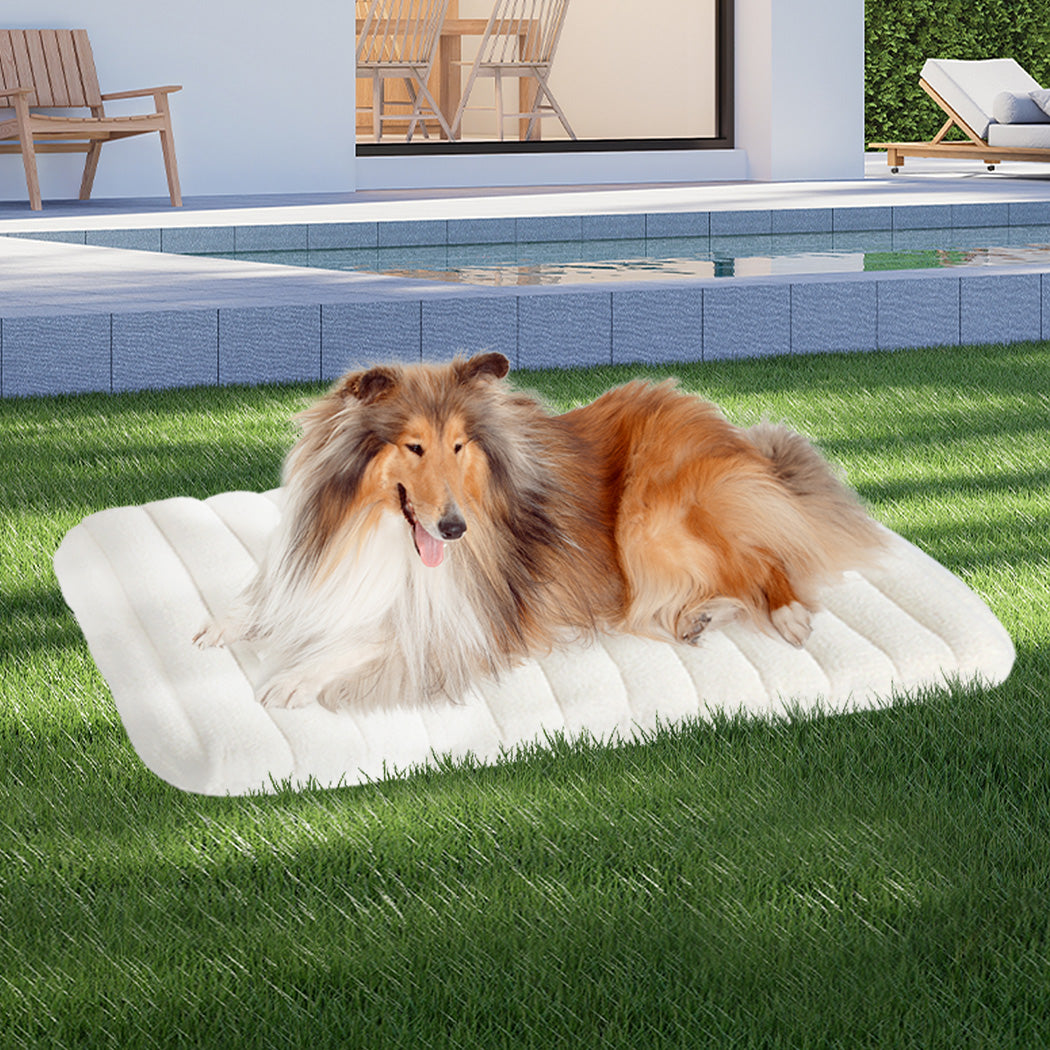Pawz XL Size Orthopedic Dog Bed with Sherpa Plush Removable Cover in White-1937319823533019143