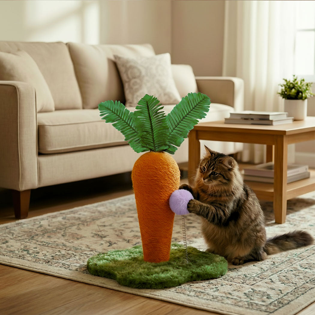 Pawz Cat Scratching Post Cute Carrot Scratching Post-2050056806016880647