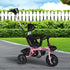 BoPeep Kids Tricycle Ride On Trike Toddler Pink-2006733203976622087