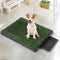 PaWz Indoor Dog Pet Grass Potty Training-1886651039562731526