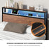 Oikiture Double Metal Bed Frame – LED Headboard, USB, Storage Shelf & Drawers (Brown)