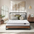 Oikiture Metal Bed Frame Queen Size LED Storage USB with Mattress