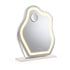 Embellir Makeup Mirror with Lights 10X Magnifier 360 Degree Rotation White