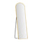 160cm Full Length Floor Mirror Gold Arched Dressing Leaning Mirror