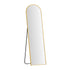 Full Length Mirror Floor Dressing Mirror 160cm