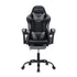 2-Point Massage Gaming Chair with Footrest Recliner Grey