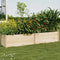 Raised Wooden Garden Bed 240x45x45cm Fir Timber Planter Box