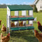 Alopet 6 Holes Chicken Nesting Box Hen Chook with Stand