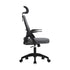 Ergonomic Office Chair Back Support Dark Grey&Black