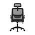 Ergonomic Office Chair Back Support Dark Grey&Black