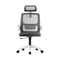 Ergonomic Office Chair Back Support Dark Grey-White