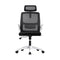 Oikiture Ergonomic Mesh Office Chair – Black & White with Adjustable Headrest