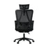 Mesh Office Chair Adjustable Lumbar Support Black