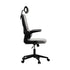Mesh Office Chair Adjustable Lumbar Support D-Shape BK&GY