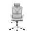 Mesh Office Chair D-Shape Back Support White