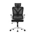 Mesh Office Chair D-Shape Back Support White&Black