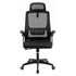 Artiss Ergonomic Office Chair Mesh Deak Chair with Flip-up Arms Adjustable Headrest Black