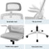 Artiss Ergonomic Office Chair Computer Desk Chairs Headrest Adjustable Grey