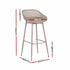 4-Piece Outdoor Bar Stools Plastic Metal Dining Chair Furniture Coffee