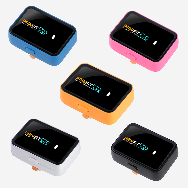 Pawfit 3 Case Blue-1869883043020410880