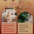 Paper Christmas Tree 114cm with Star Topper LEDs Xmas Decoration White