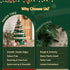Paper Christmas Tree 87cm with Star Topper LEDs Xmas Decoration Green Set