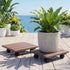 2‑Pack Plant Caddy – Square HDPE Rolling Pot Stand w/ Lockable Wheels