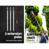Pole 4 Stroke Chainsaw Petrol Tree Pruner Long Reach Saw 12 Inch Bar