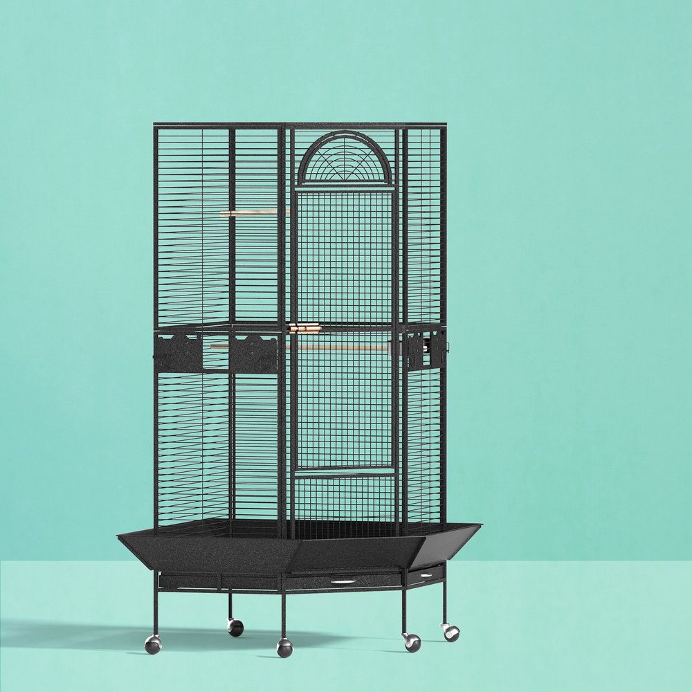 Corner Large Bird Cage Aviary 161cm Wrought Iron Parrot Budgie Stand Wheels