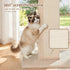 Cat Tree 89cm Scratching Post Tower Scratcher Wood Condo Bed House Trees Beige